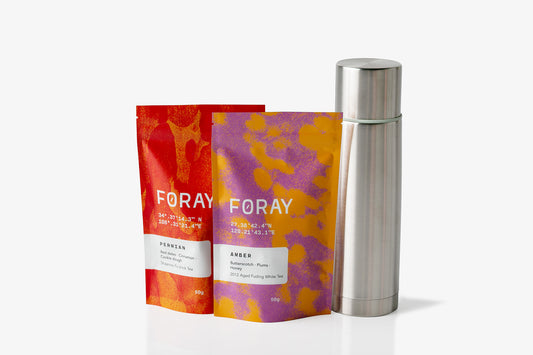 Thermos Brewing Starter Kit