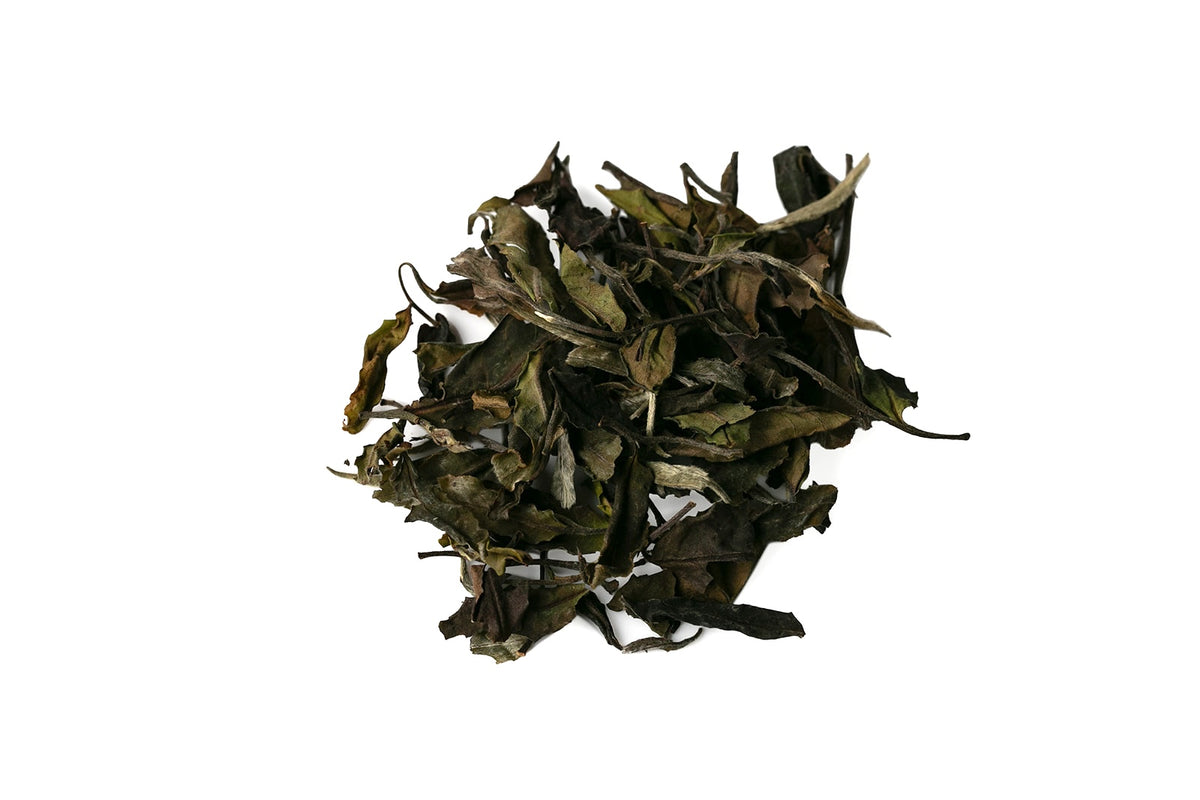 S0LSTICE: White tea